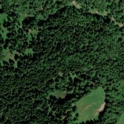 Satellite imagery of Zwieseleck, DE