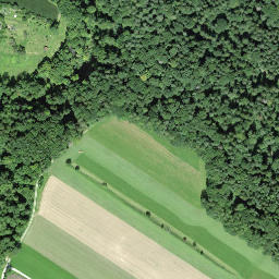 Satellite imagery of Schloss Wolfsberg, CH