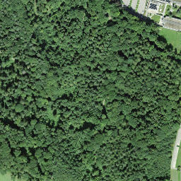 Satellite imagery of Schloss Wolfsberg, CH