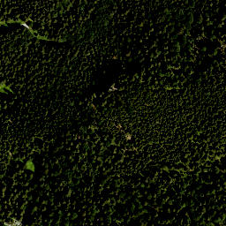 Satellite imagery of Gemskopf, DE