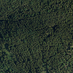 Satellite imagery of Schwarzenkopf, DE