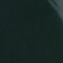 Satellite imagery of Magnolia Bluff, US