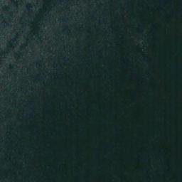 Satellite imagery of Webster Point, US