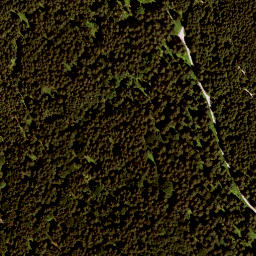 Satellite imagery of Haldemooseck, DE