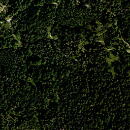 Satellite imagery of Zwieselschrofen, DE