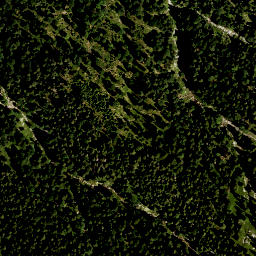 Satellite imagery of Zwieselschrofen, DE