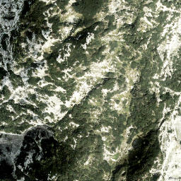 Satellite imagery of Backenstein, AT