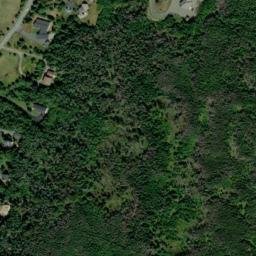 Satellite imagery of Codfish Point, CA