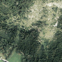 Satellite imagery of Loser, AT