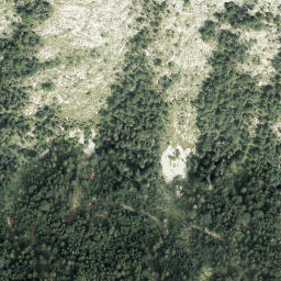 Satellite imagery of Loser, AT