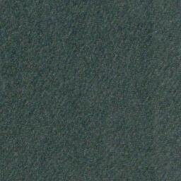 Satellite imagery of Evergreen Point, US
