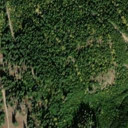 Satellite imagery of Buck Ridge, US
