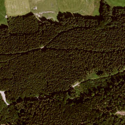 Satellite imagery of Zwieselberg, DE