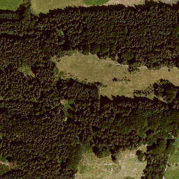 Satellite imagery of Zwieselberg, DE