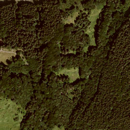 Satellite imagery of Zwieselberg, DE