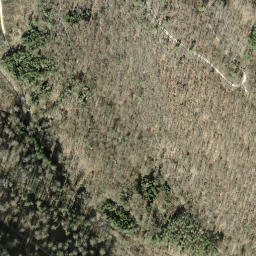 Satellite imagery of Nappberg, DE