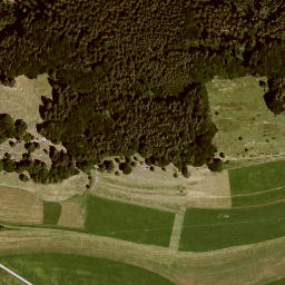 Satellite imagery of Zwieselberg, DE