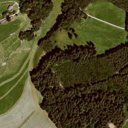 Satellite imagery of Zwieselberg, DE
