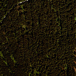 Satellite imagery of Kleinwildfeuerberg, DE
