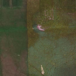 Satellite imagery of Wiesmahdkögel, DE