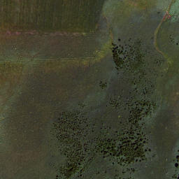 Satellite imagery of Wiesmahdkögel, DE