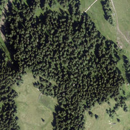 Satellite imagery of Wurzerkampl, AT