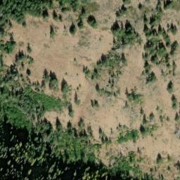 Satellite imagery of Buck Ridge, US