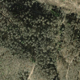 Satellite imagery of Nappberg, DE