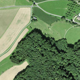 Satellite imagery of Schloss Freudenfels, CH