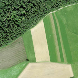 Satellite imagery of Schloss Gündelhart, CH