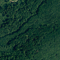 Satellite imagery of Senkelekopf, DE