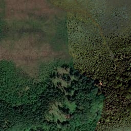 Satellite imagery of Langerkögel, DE