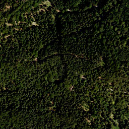 Satellite imagery of Kohlberg, DE