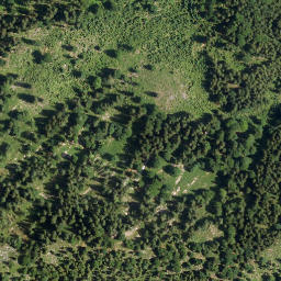 Satellite imagery of Rotzigmoosberg, DE