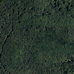 Satellite imagery of Angerwald, AT