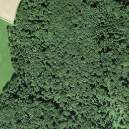 Satellite imagery of Schloss Freudenfels, CH