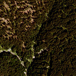 Satellite imagery of Kleinwildfeuerberg, DE