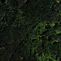 Satellite imagery of Mittereck, DE