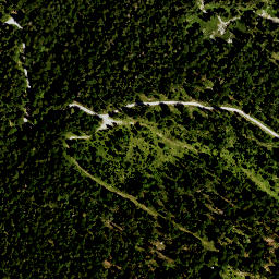 Satellite imagery of Hirschhörnlkopf, DE