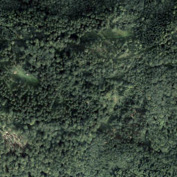 Satellite imagery of Dimmelberg, AT