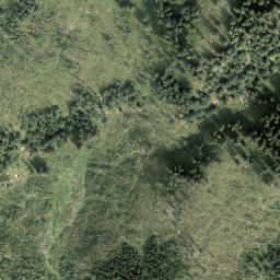 Satellite imagery of Moser Kogel, AT