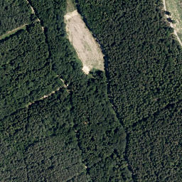 Satellite imagery of Angerwald, AT