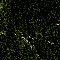 Satellite imagery of Alpenkopf, DE