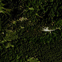 Satellite imagery of Alpenkopf, DE