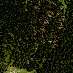 Satellite imagery of Hirschhörnlkopf, DE