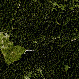 Satellite imagery of Latschenkopf, DE