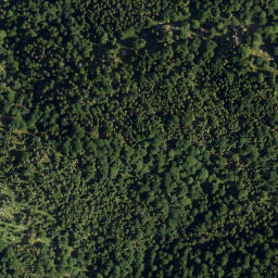 Satellite imagery of Pfannkobel, DE