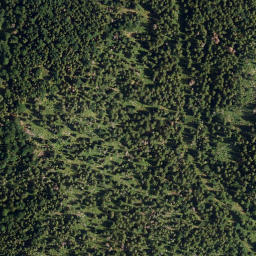 Satellite imagery of Pfannkobel, DE