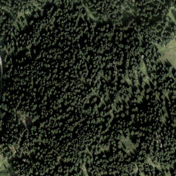Satellite imagery of Moser Kogel, AT