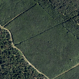 Satellite imagery of Angerwald, AT